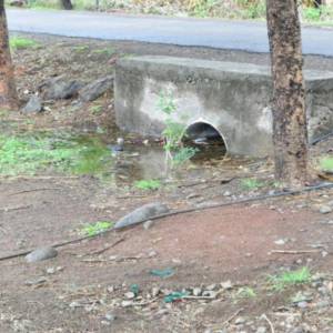 Drainage_original_copy_1