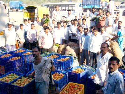 Main Market Auction 1